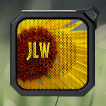 Fettgelbe Sonnenblume Fotografie