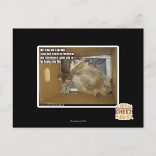 Fettgenosse Postkarte