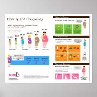 Fettleibigkeit und Schwangerschaft 14" x 11" Infog Poster