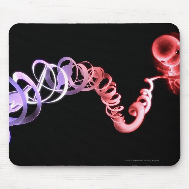 Fetus mit Nabelschnur aus DNA-Strängen Mousepad (Vorne)