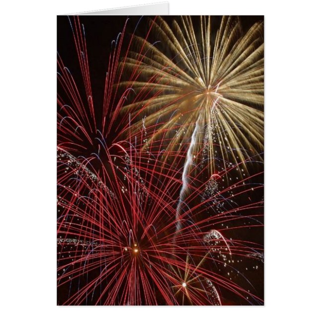 Feu d'artifice (Devant)