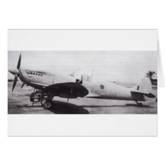 Feu d'éclat de supermarine