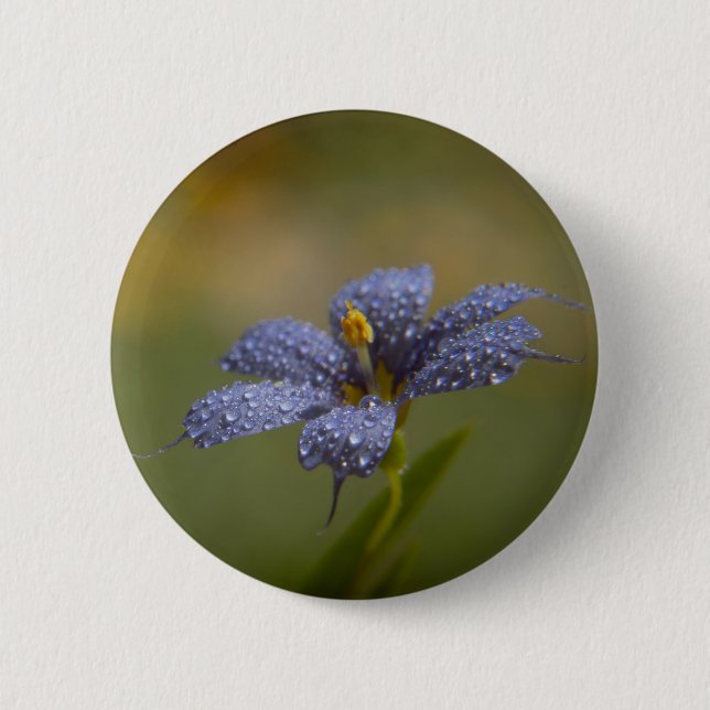 Feuchte Blaue Augen Button (Vorderseite)