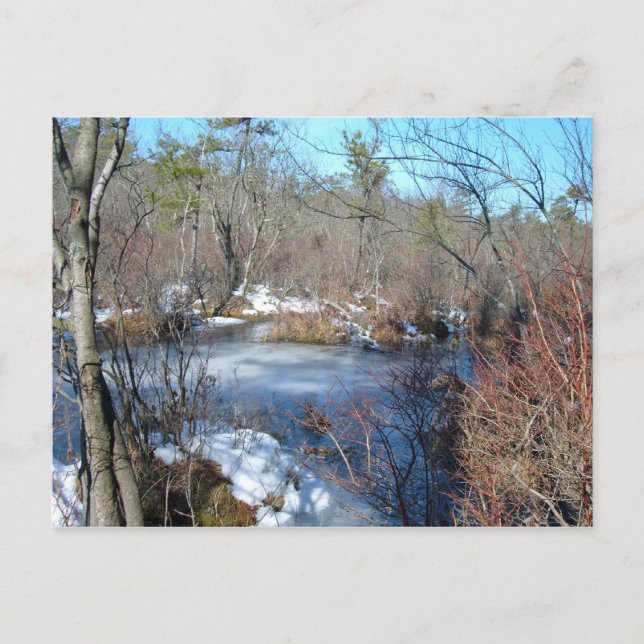 Feuchtgebiet-Teich, gefroren Postkarte (Vorderseite)