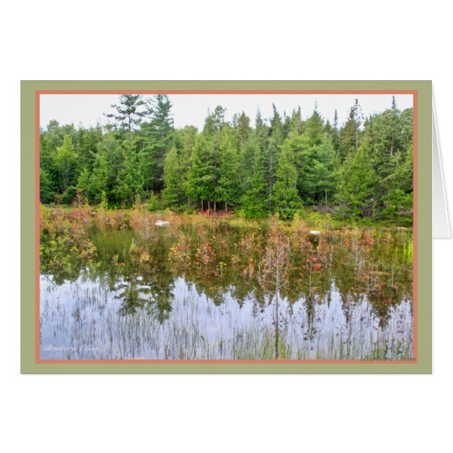 Feuchtgebiete (Vorderseite (Horizontal))