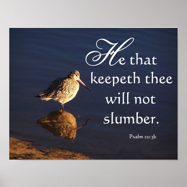 Feuchtgebiete Godwit Bird God Behalte Ihnen Poster (Vorne)