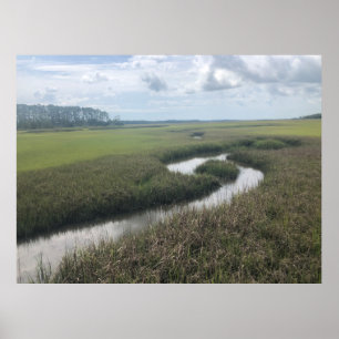 Feuchtgebiete Tolomato Fluss Natur Fotografy Poste Poster
