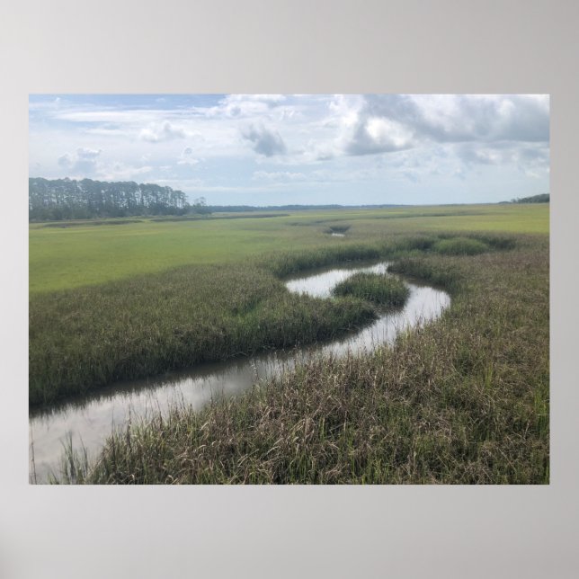 Feuchtgebiete Tolomato Fluss Natur Fotografy Poste Poster (Vorne)