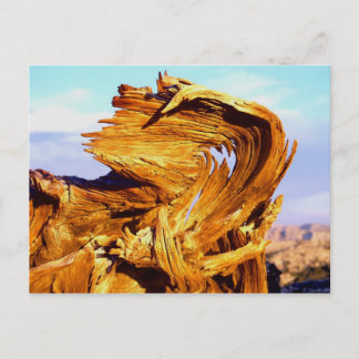 Feuer auf dem Mtn Postkarte