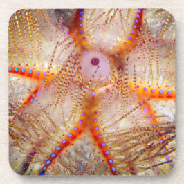 Feuer-Bengel-harte PlastikUntersetzer (Set von 6) Getränkeuntersetzer