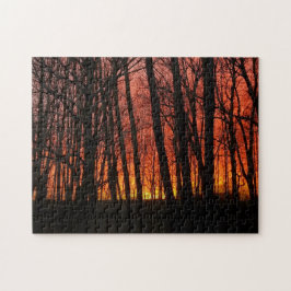 Feuer im Sonnenuntergang des Sky Forest