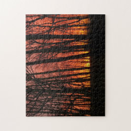 Feuer im Sonnenuntergang des Sky Forest