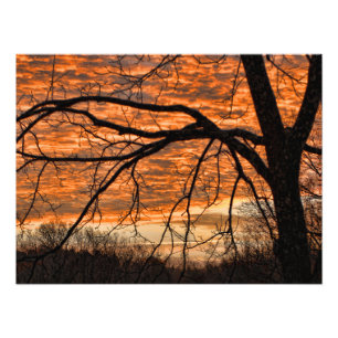 Feuer in der Wintermorgendlichen Himmel Fotodruck