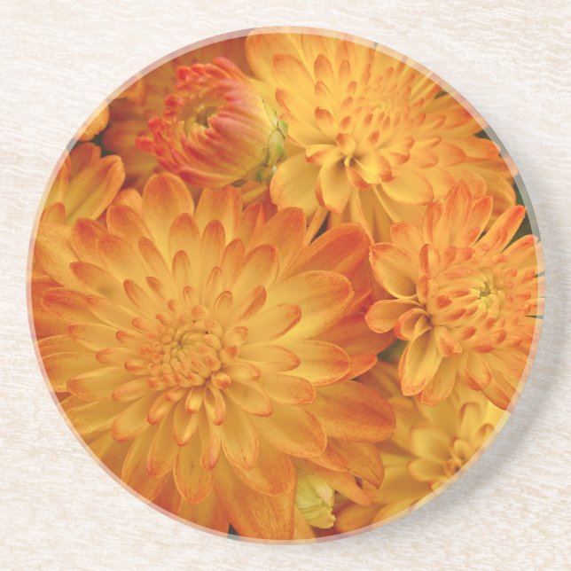 Feuer Orange Chrysanthemas Sandstein Untersetzer (Vorne)