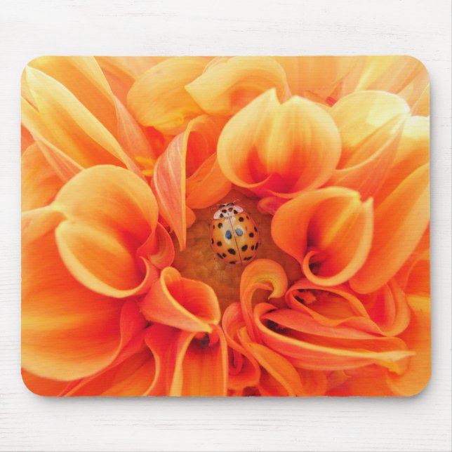 Feuer Orange Dahlia mit Lady Bug Blume Mousepad (Vorne)