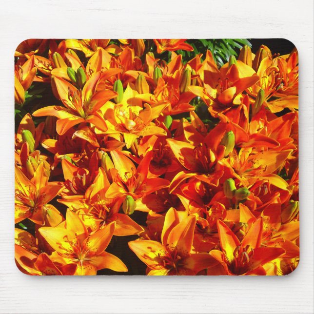 Feuer Orange Lily Blume Mousepad (Vorne)