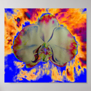 Feuer Orchid, abstrakte tropische Blumenbemalung Poster