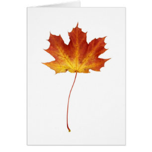 Feuer-Rotahorn-Blatt-Karte