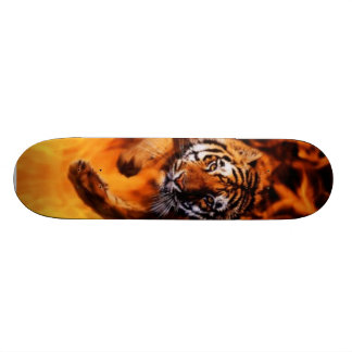 Feuer u. Tiger Skateboard