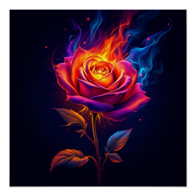 Feuer und die Rose  Poster (Vorderseite)