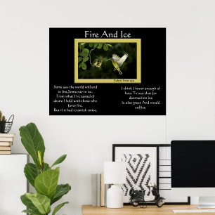Feuer-und Eis-Kolibri-Plakate Poster