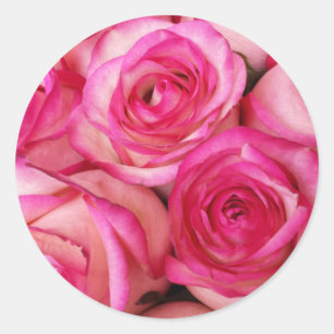 Feuer-und Eis-Rosen Runder Aufkleber