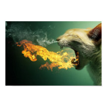 Feueratmer Katzenposter
