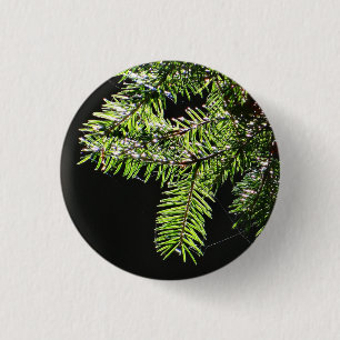 Feuerbaum Button