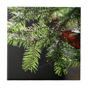 Feuerbaum Fliese