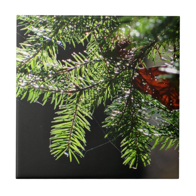 Feuerbaum Fliese (Vorderseite)