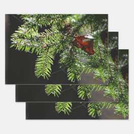 Feuerbaum Geschenkpapier Set