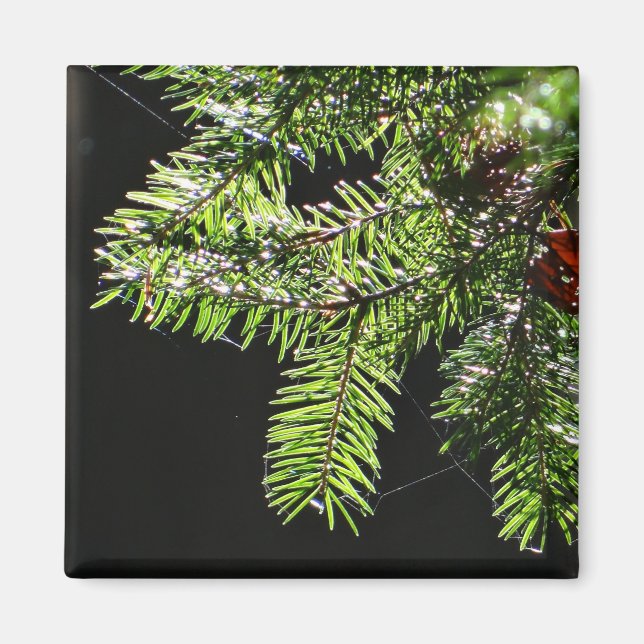 Feuerbaum Magnet (Vorne)