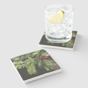 Feuerbaum Steinuntersetzer