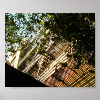 Feuerflüchte in Schatten und Sonne Poster