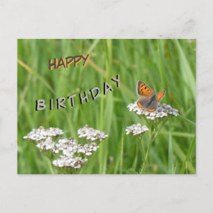 Feuerschmetterlingskust. Happy Birthday Postcard Postkarte
