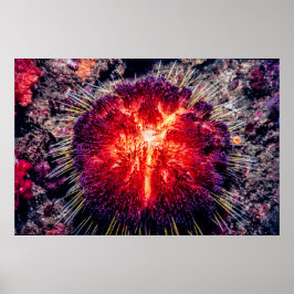 Feuerschwanz Poster