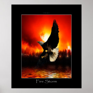 FEUERSTURM Weißkopfseeadler-Kunst-Plakat Poster