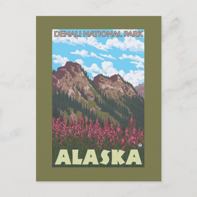 Feuerweed & Mountains - Denali Nat'l Park, Postkarte (Vorderseite)