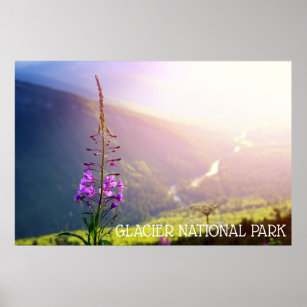Feuerweh im Glacier-Nationalpark Poster