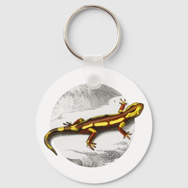 Feuerwehrsalamander - Salamandra Schlüsselanhänger (Vorderseite)