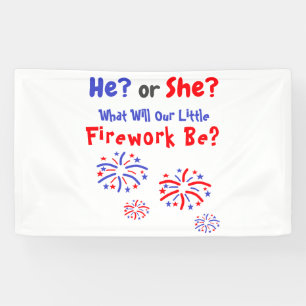Feuerwerk American Gender Reveal Banner