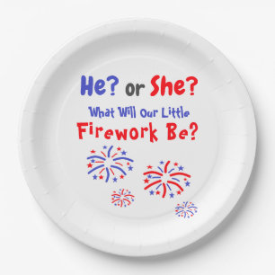 Feuerwerk American Gender Reveal Pappteller