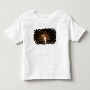 Feuerwerk auf dem Savannah River Kleinkind T-shirt