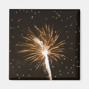 Feuerwerk auf dem Savannah River Magnet