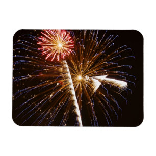 Feuerwerk über dem Savannah River Magnet