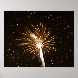 Feuerwerk über dem Savannah River Poster
