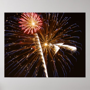 Feuerwerk über dem Savannah River Poster
