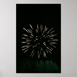 Feuerwerke mit Tree Poster