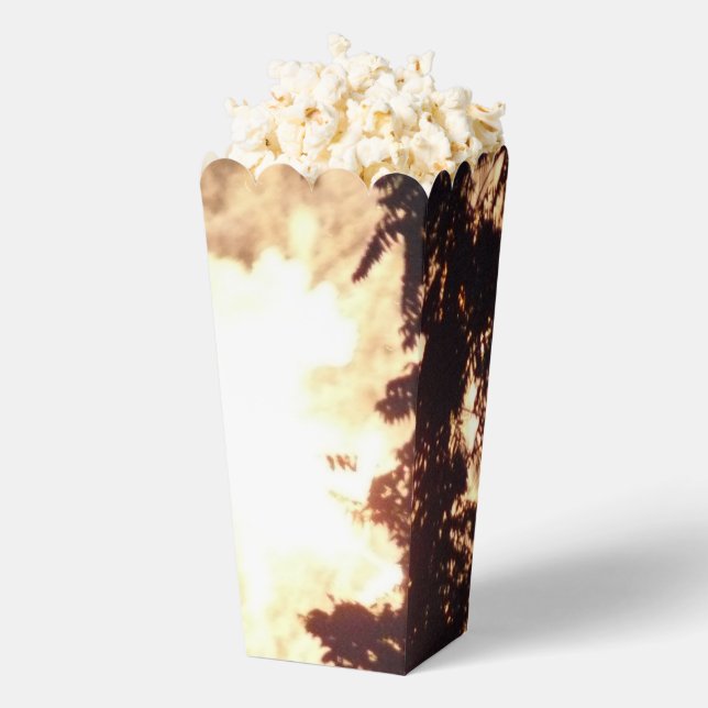 Feuerwerkskörper 15 Popcorn-Schachteln Geschenkschachtel (Geplatzt)