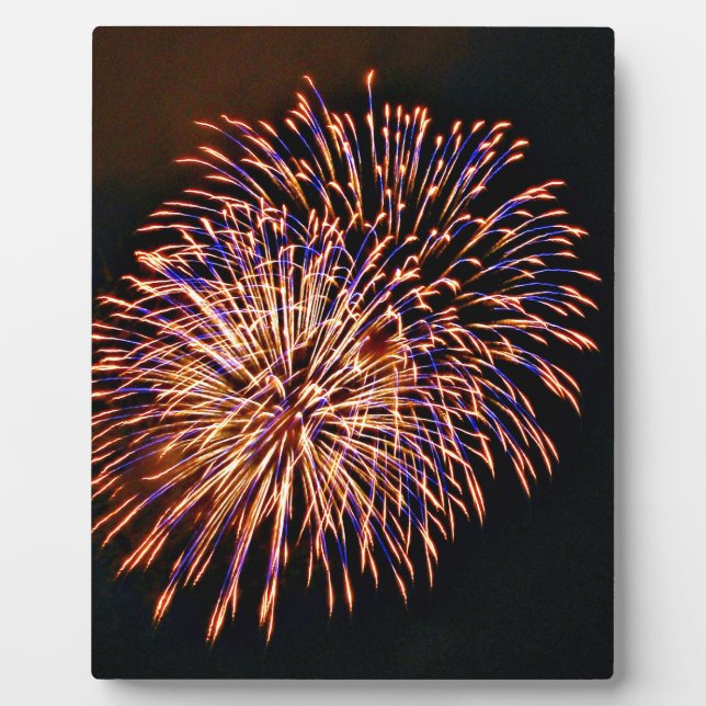 Feuerwerkskörper Fotoplatte (Vorderseite)